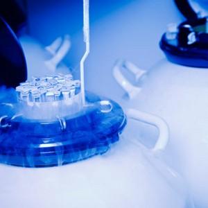 Empresa de botijão de inseminação artificial preço
